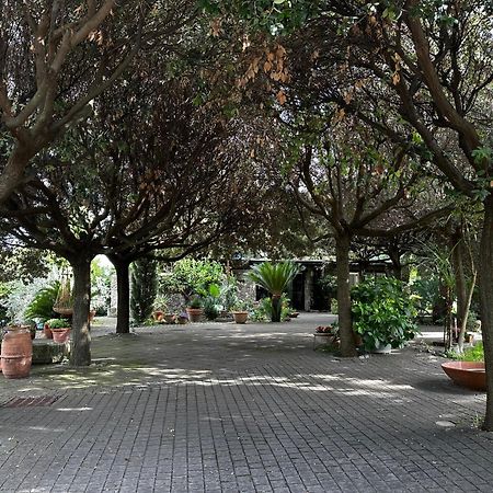 Borgo De' Paolis Grottaferrata Exterior foto
